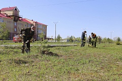 Двести пятьдесят саженцев сосны высадили в Увате